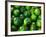 Cucumber, Chongqing, China-Keren Su-Framed Photographic Print