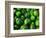 Cucumber, Chongqing, China-Keren Su-Framed Photographic Print