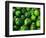 Cucumber, Chongqing, China-Keren Su-Framed Photographic Print