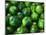 Cucumber, Chongqing, China-Keren Su-Mounted Photographic Print