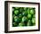 Cucumber, Chongqing, China-Keren Su-Framed Photographic Print