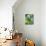 Cucumber Cultivation-Bjorn Svensson-Photographic Print displayed on a wall