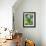 Cucumber Cultivation-Bjorn Svensson-Framed Photographic Print displayed on a wall