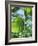 Cucumber Cultivation-Bjorn Svensson-Framed Photographic Print