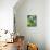 Cucumber Cultivation-Bjorn Svensson-Mounted Photographic Print displayed on a wall