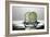 Cucumber FreshSplash-Steve Gadomski-Framed Photographic Print