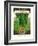 Cucumber Seed Packet-null-Framed Art Print