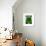 Cucumber Seed Packet-Lantern Press-Framed Art Print displayed on a wall