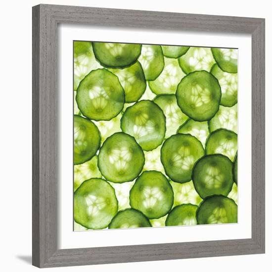 Cucumber Slices-Mark Sykes-Framed Premium Photographic Print