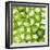 Cucumber Slices-Mark Sykes-Framed Premium Photographic Print