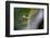 Cucumber spider, Exeter, Devon-David Pike-Framed Photographic Print