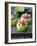 Cucumber Towers Topped with Tuna Tartare-Jan-peter Westermann-Framed Photographic Print