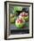 Cucumber Towers Topped with Tuna Tartare-Jan-peter Westermann-Framed Photographic Print