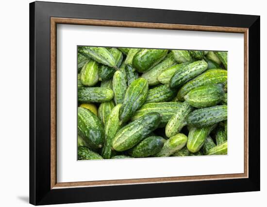 Cucumbers, USA-Jim Engelbrecht-Framed Photographic Print