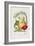 Cucurbitaceae, the Gourd Tribe, from Illustrations of the Natural Orders of Plants, 1849-1855-Elizabeth Twining-Framed Giclee Print