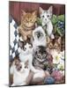 Cuddly Kittens-Jenny Newland-Mounted Giclee Print