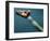 Cue Ball Rolling Towards Racked Billiard Balls-null-Framed Photographic Print