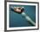 Cue Ball Rolling Towards Racked Billiard Balls-null-Framed Photographic Print