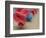 Cuenca. Swirling Skirt of Female Dancers, Cuenca, Ecuador-Merrill Images-Framed Photographic Print