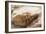 Cueva de las Manos (Cave of Hands), UNESCO World Heritage Site, Patagonia, Argentina-Alex Treadway-Framed Photographic Print