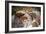 Cueva de las Manos (Cave of Hands), UNESCO World Heritage Site, Patagonia, Argentina-Alex Treadway-Framed Photographic Print