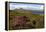 Cuillin Hills, Isle of Skye, Highland, Scotland-Peter Thompson-Framed Premier Image Canvas