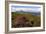 Cuillin Hills, Isle of Skye, Highland, Scotland-Peter Thompson-Framed Photographic Print