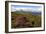 Cuillin Hills, Isle of Skye, Highland, Scotland-Peter Thompson-Framed Photographic Print