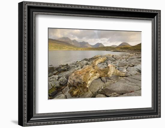 Cullin Mountains from Loch Slapin, Isle of Skye, Inner Hebrides, Scotland, United Kingdom, Europe-Gary Cook-Framed Photographic Print