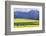 Cultivated Fields and Cattle, Moho, Bordering on Lake Titicaca, Peru-Peter Groenendijk-Framed Photographic Print