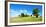 Cultivated Landscape with 'SolitŠr Eiche' (Oak), Agriculturally Extensively Used Meadows, Bavaria-Andreas Vitting-Framed Photographic Print