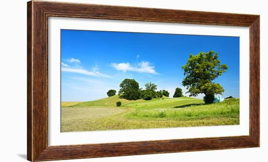 Cultivated Landscape with 'SolitŠr Eiche' (Oak), Agriculturally Extensively Used Meadows, Bavaria-Andreas Vitting-Framed Photographic Print