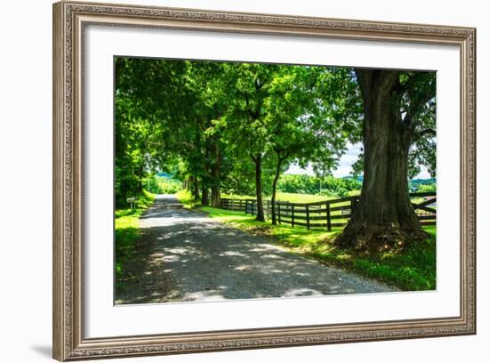 Cumberland County II-Alan Hausenflock-Framed Photo