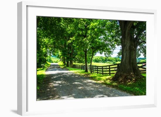 Cumberland County II-Alan Hausenflock-Framed Photo