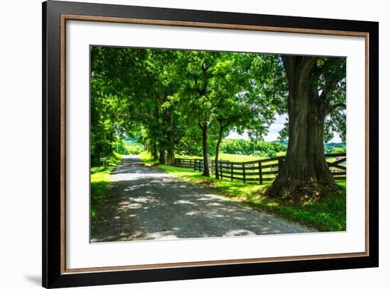 Cumberland County II-Alan Hausenflock-Framed Photo