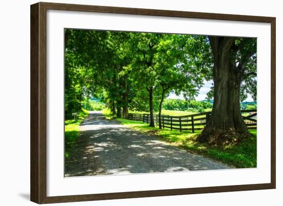 Cumberland County II-Alan Hausenflock-Framed Photo