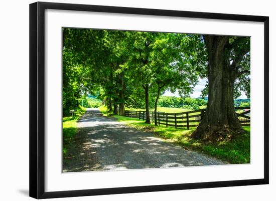 Cumberland County II-Alan Hausenflock-Framed Photo