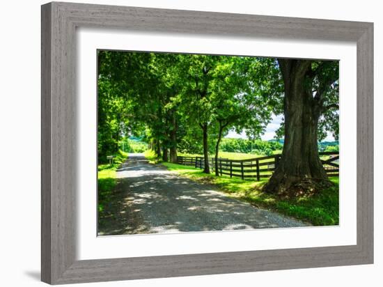 Cumberland County II-Alan Hausenflock-Framed Photo