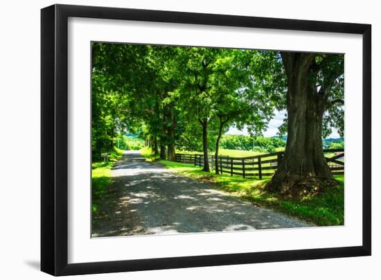 Cumberland County II-Alan Hausenflock-Framed Photo