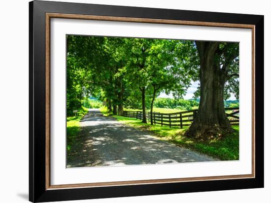 Cumberland County II-Alan Hausenflock-Framed Photo