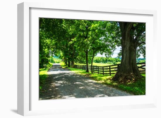 Cumberland County II-Alan Hausenflock-Framed Photo