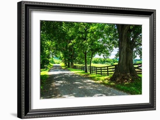 Cumberland County II-Alan Hausenflock-Framed Photo