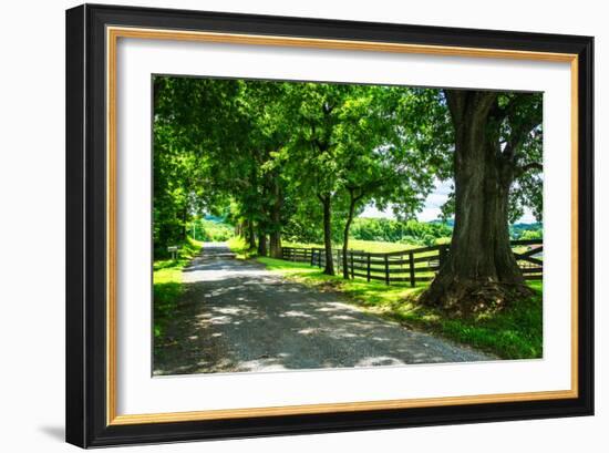 Cumberland County II-Alan Hausenflock-Framed Photo