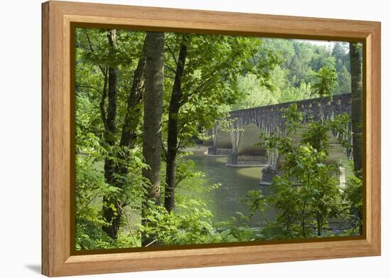 Cumberland Falls, Kentucky-Natalie Tepper-Framed Stretched Canvas