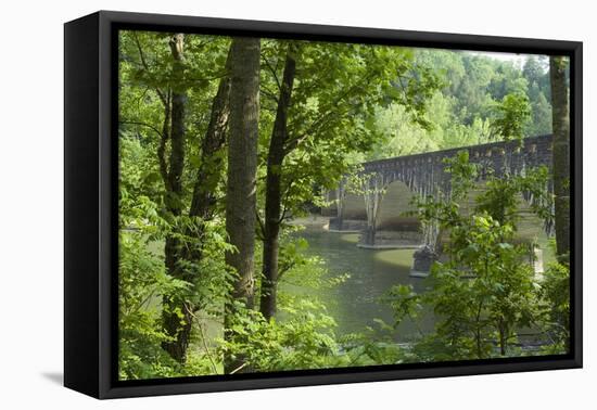 Cumberland Falls, Kentucky-Natalie Tepper-Framed Stretched Canvas