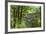 Cumberland Falls, Kentucky-Natalie Tepper-Framed Photo