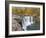 Cumberland Falls State Park near Corbin, Kentucky, USA-Chuck Haney-Framed Photographic Print