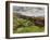 Cumberland Landscape, 1928-Christopher Wood-Framed Giclee Print