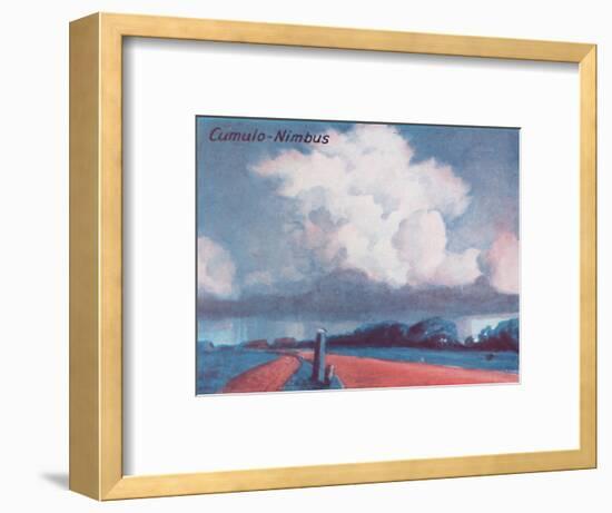 'Cumulo-Nimbus - A Dozen of the Principal Cloud Forms In The Sky', 1935-Unknown-Framed Giclee Print