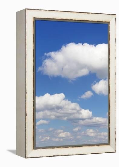 Cumulus Clouds, Blue Sky, Summer, Germany, Europe-Markus-Framed Premier Image Canvas